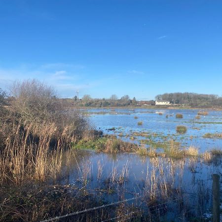 Brading The Lodge On The Marsh מראה חיצוני תמונה