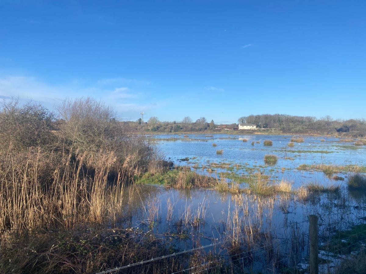 Brading The Lodge On The Marsh מראה חיצוני תמונה