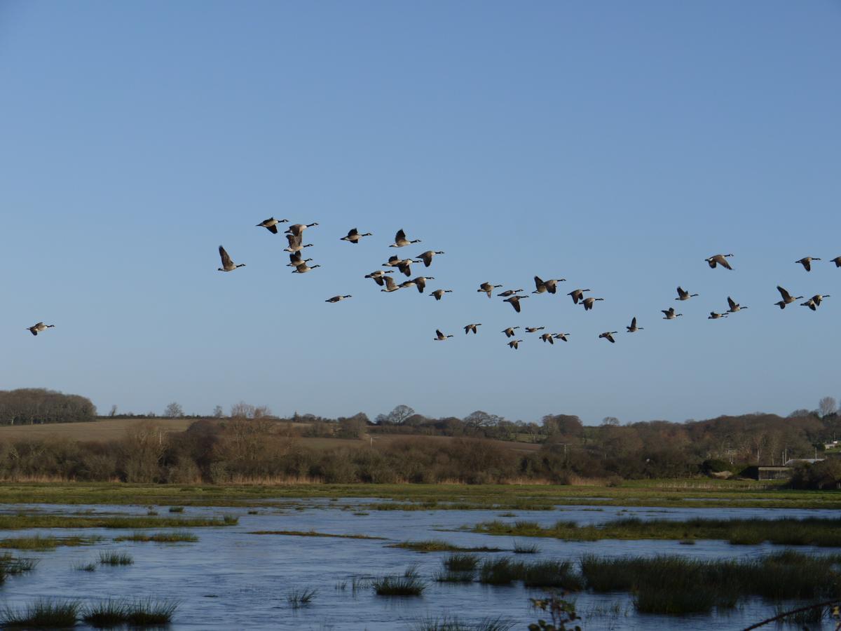 Brading The Lodge On The Marsh מראה חיצוני תמונה