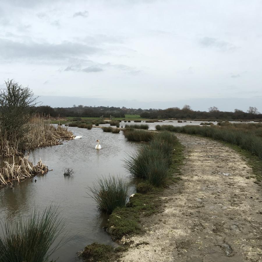 Brading The Lodge On The Marsh מראה חיצוני תמונה