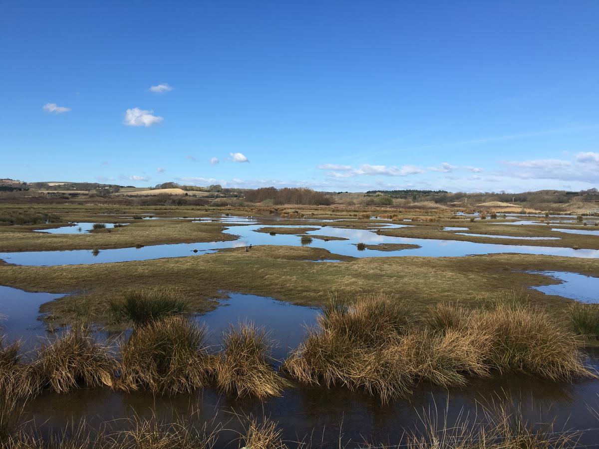 Brading The Lodge On The Marsh מראה חיצוני תמונה